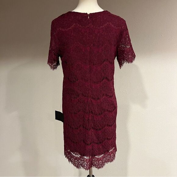 Lulu's Take Me to Brunch Burgundy Lace
Shift Dress - Picture 6 of 12